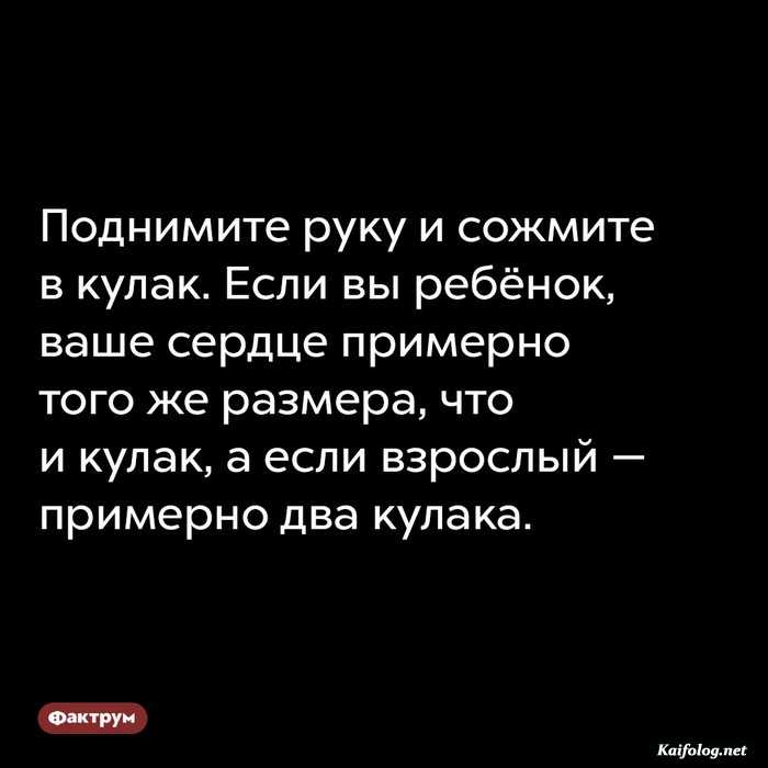 факт занимательный