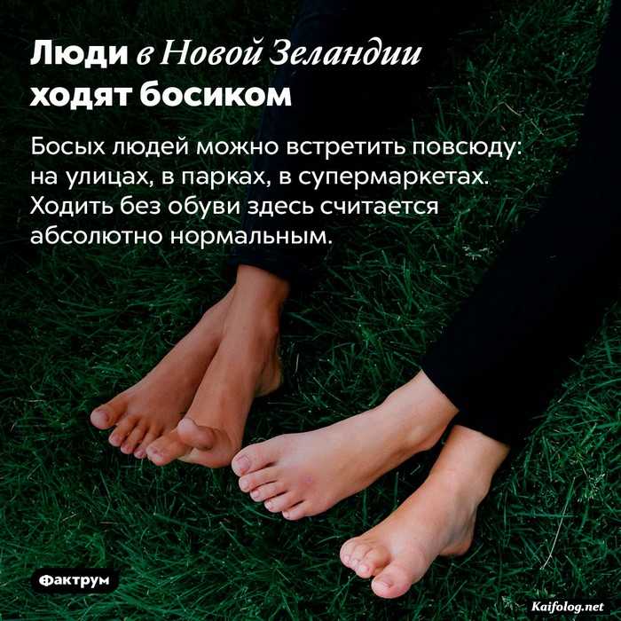 факт занимательный