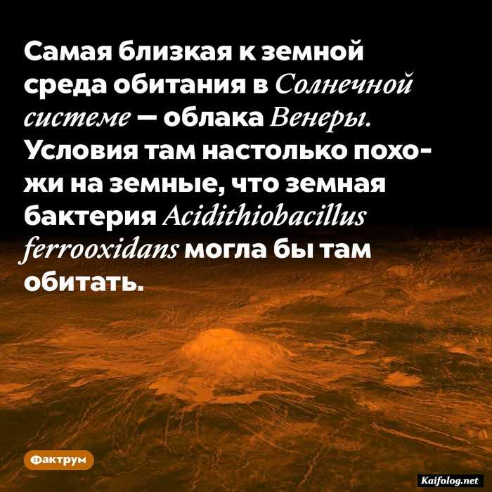 факт занимательный