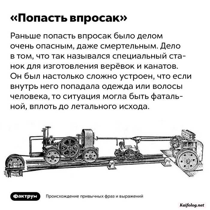 факт интересный