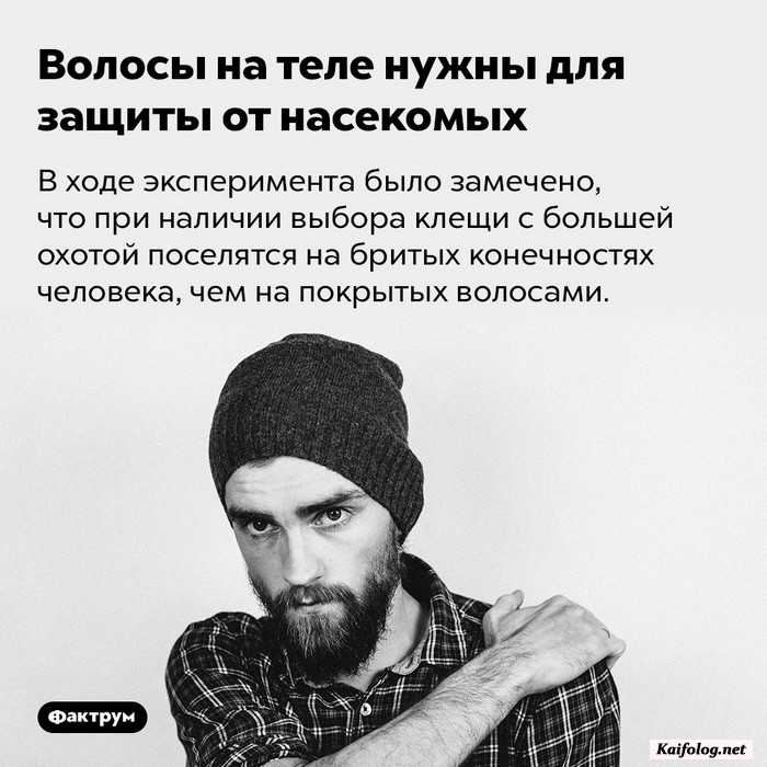 факт интересный