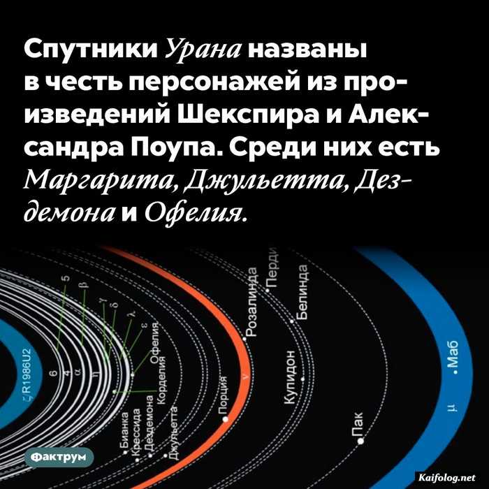 факт интересный