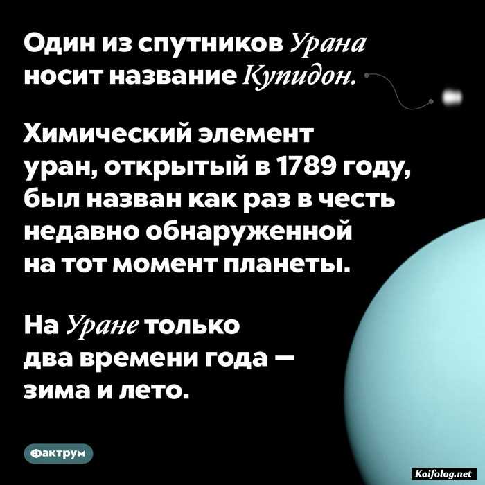 факт интересный