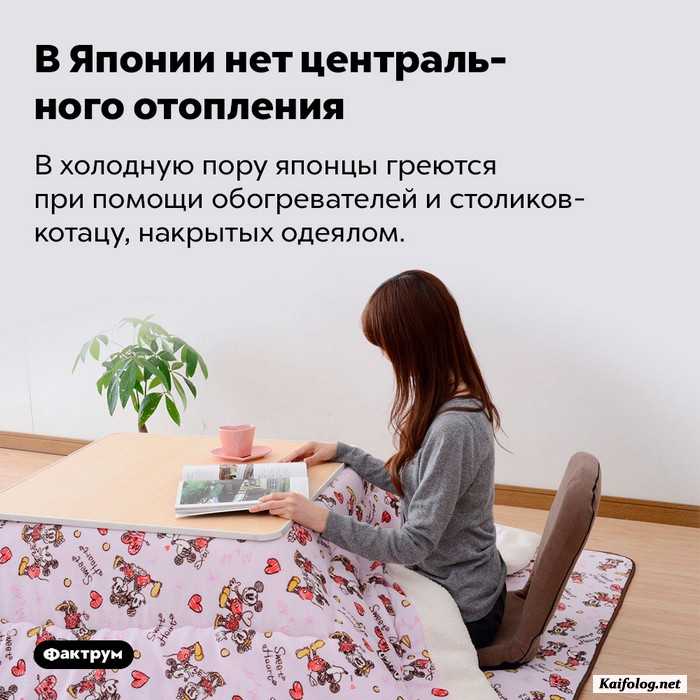 интересный факт