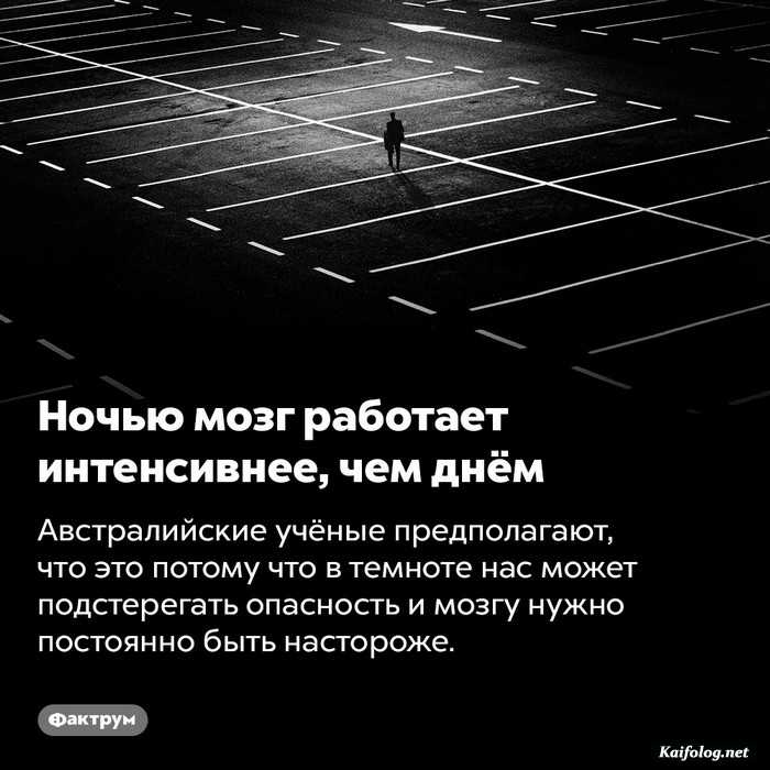 интересный факт