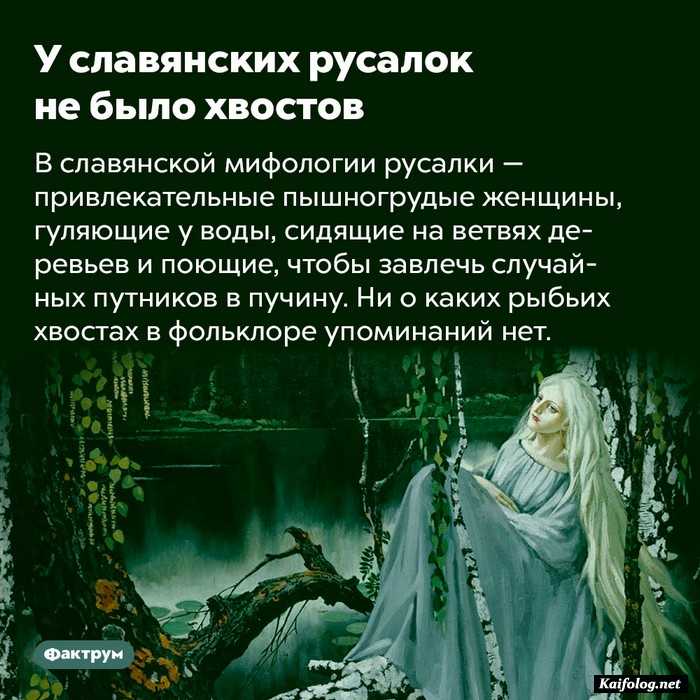 интересный факт