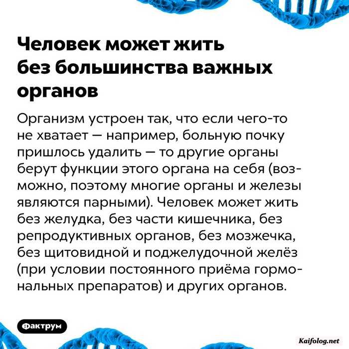 интересный факт
