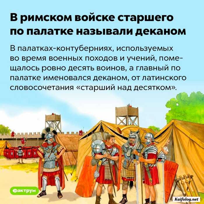 интересный факт