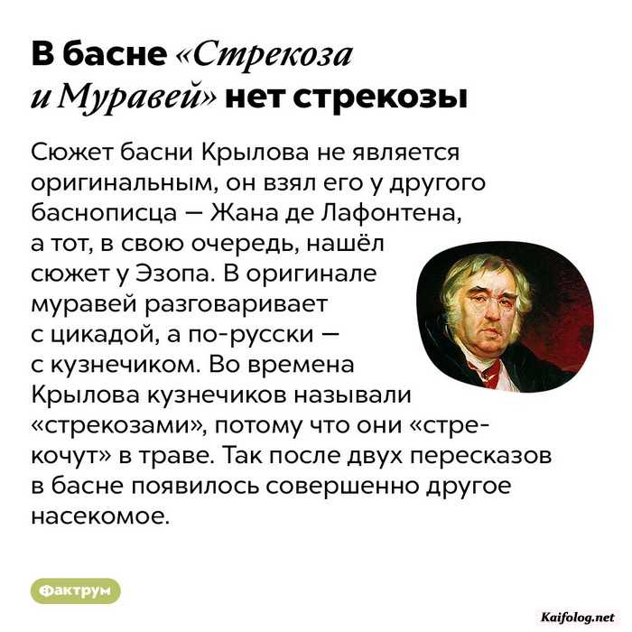 интересный факт