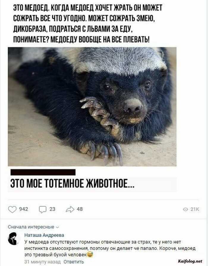 картинка с приколом