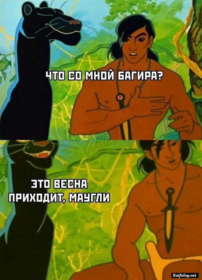 картинка с приколом