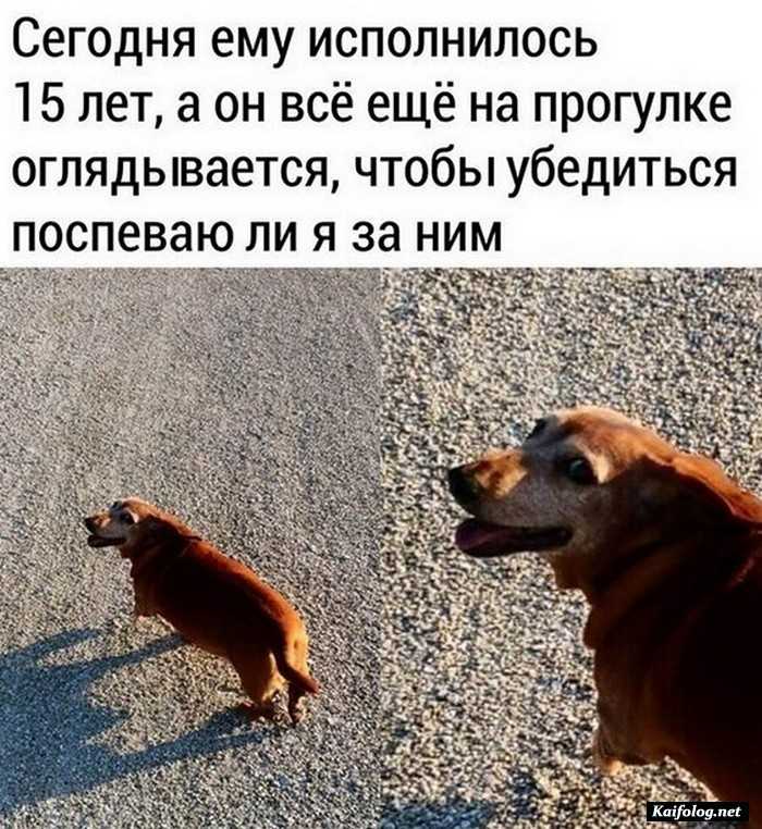 прикольное фото