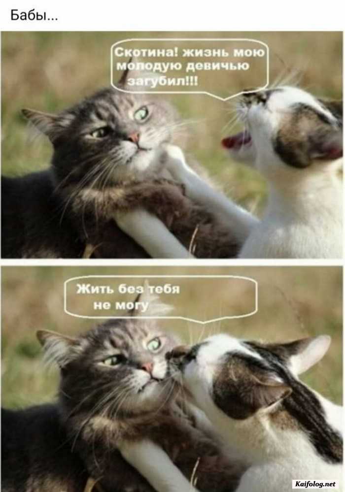 прикольное фото