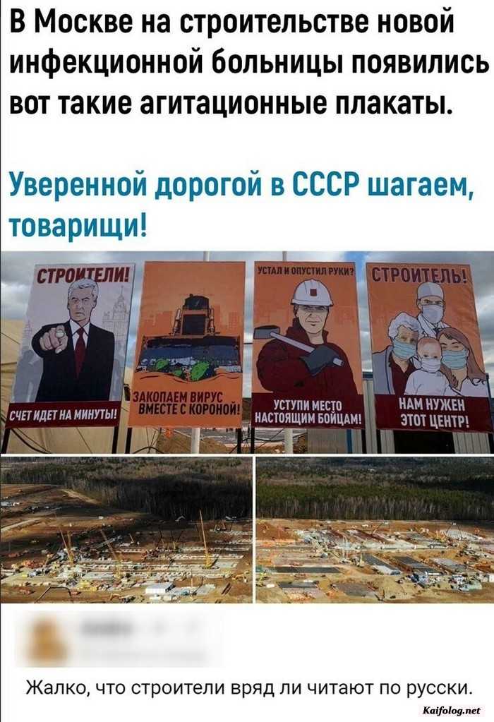 прикольное фото