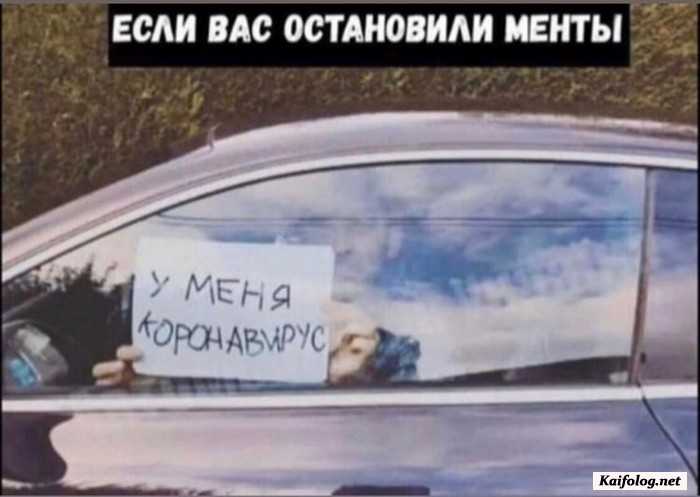 прикольное фото