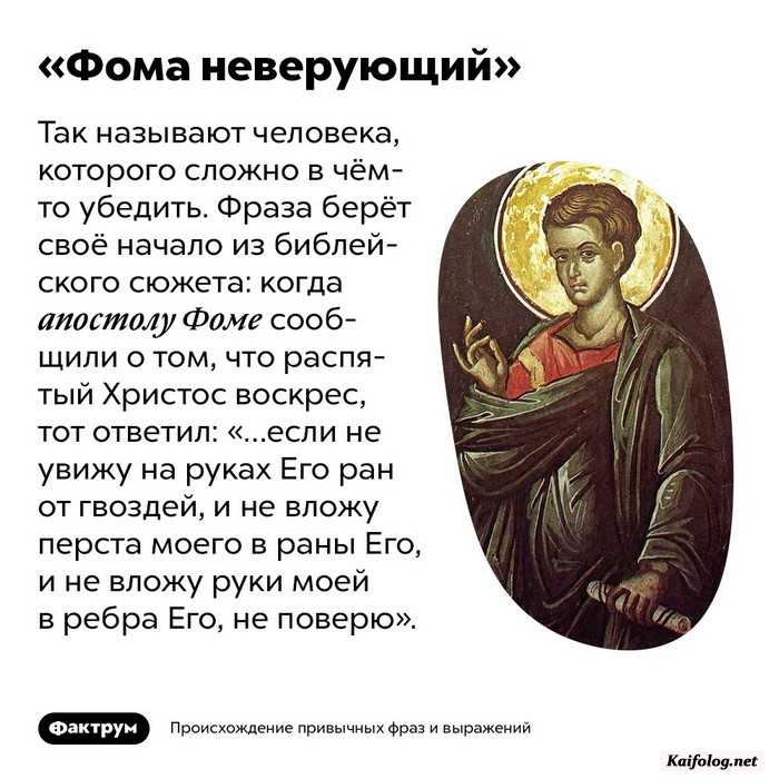 интересный факт картинка