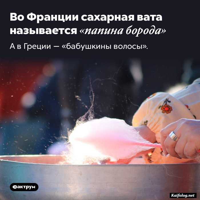 интересный факт картинка