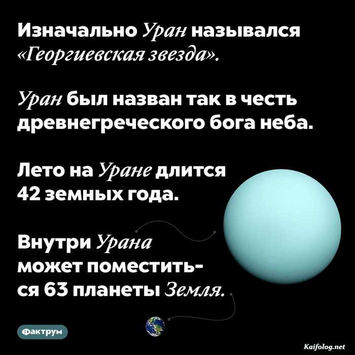 интересный факт картинка