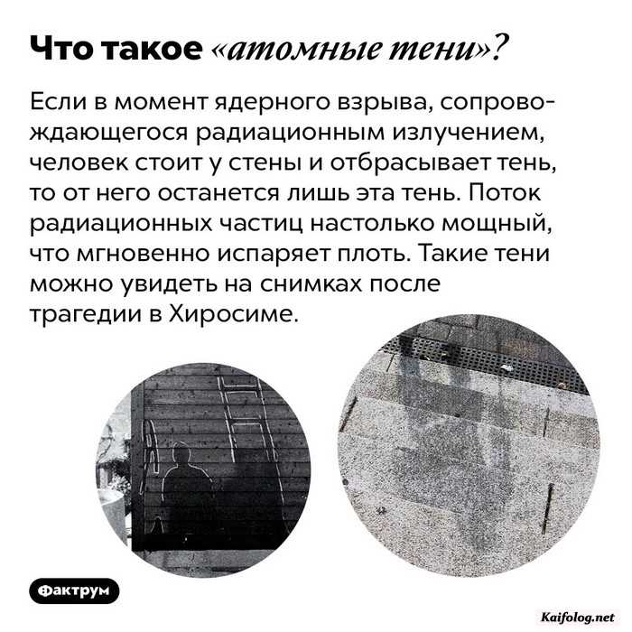 интересный факт картинка