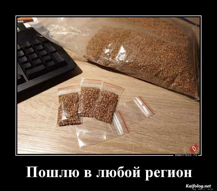 прикольный демотиватор