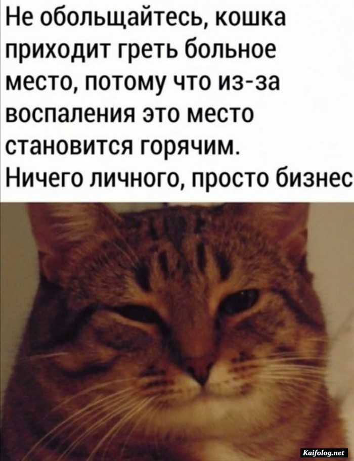 прикол картинка с надписью