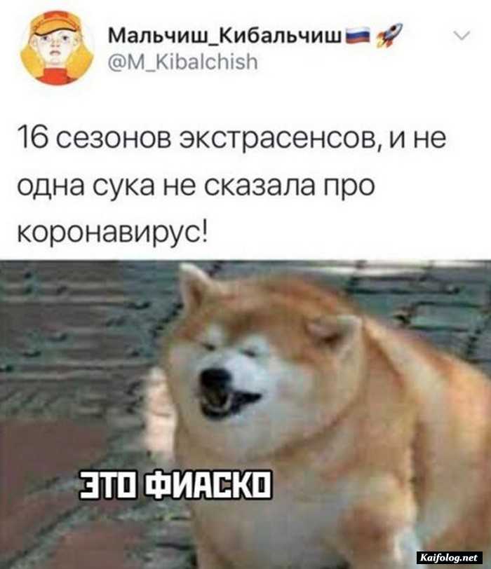 прикольная картинка