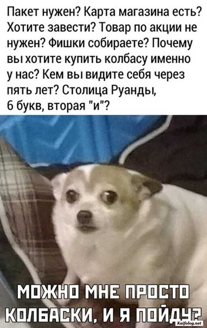 прикольная картинка