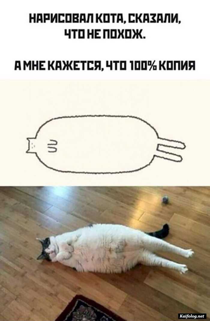 веселая картинка с комментарием