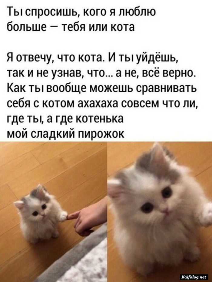 веселая картинка с комментарием