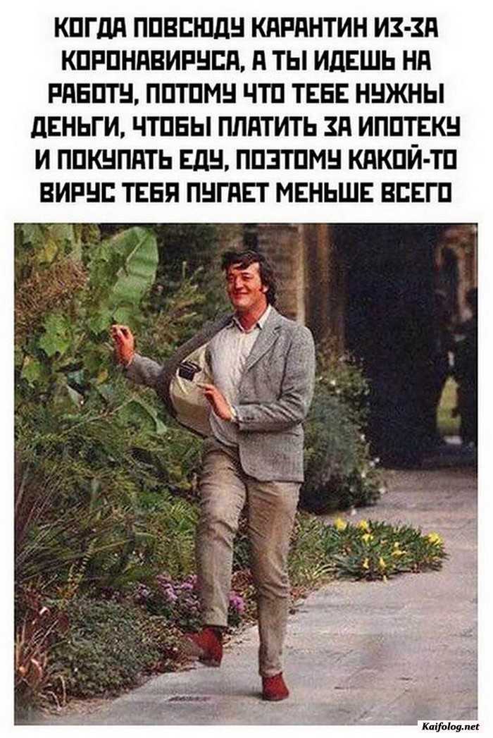 веселая картинка с комментарием