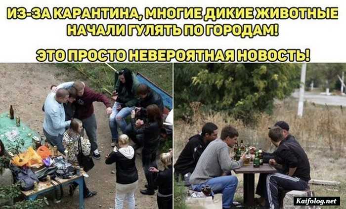 фотоприкол