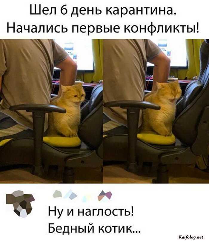 фотоприкол