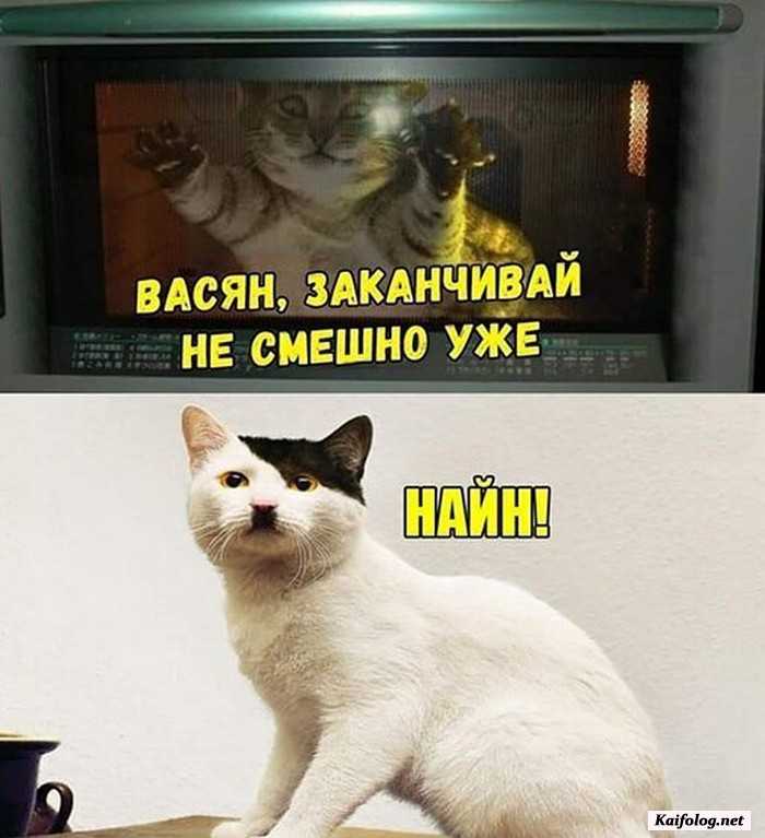 фотоприкол
