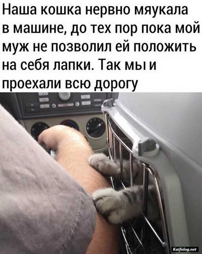 фотоприкол