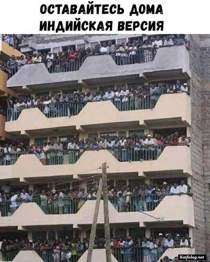 фотоприкол