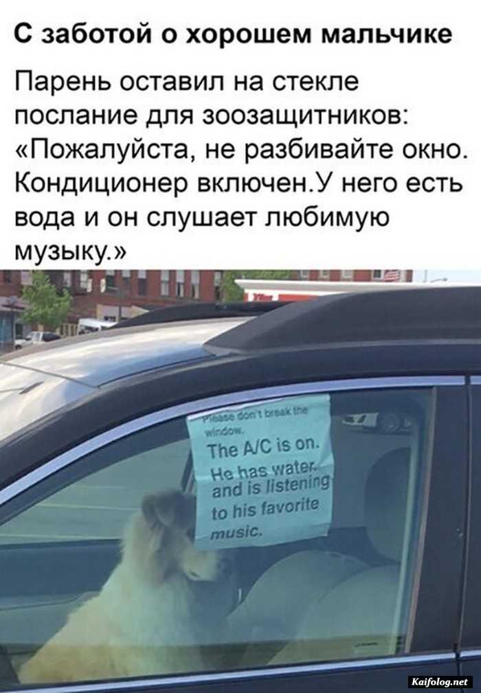 фотоприкол