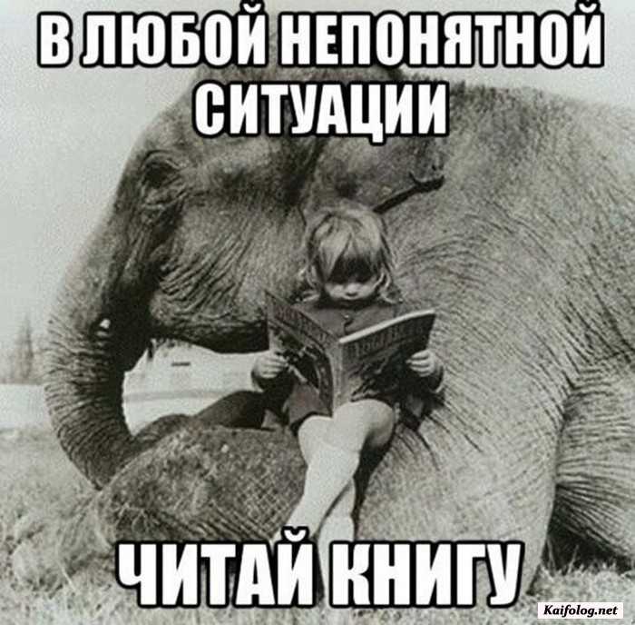 фотоприкол
