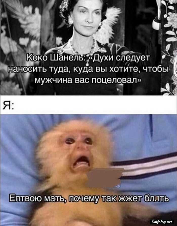 картинка прикольная