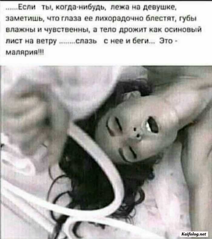 картинка прикольная