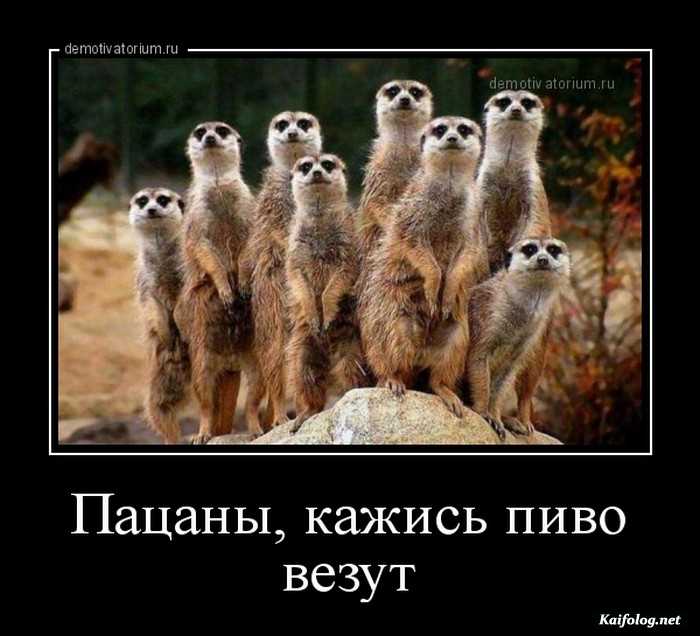 смешная картинка демотиватор