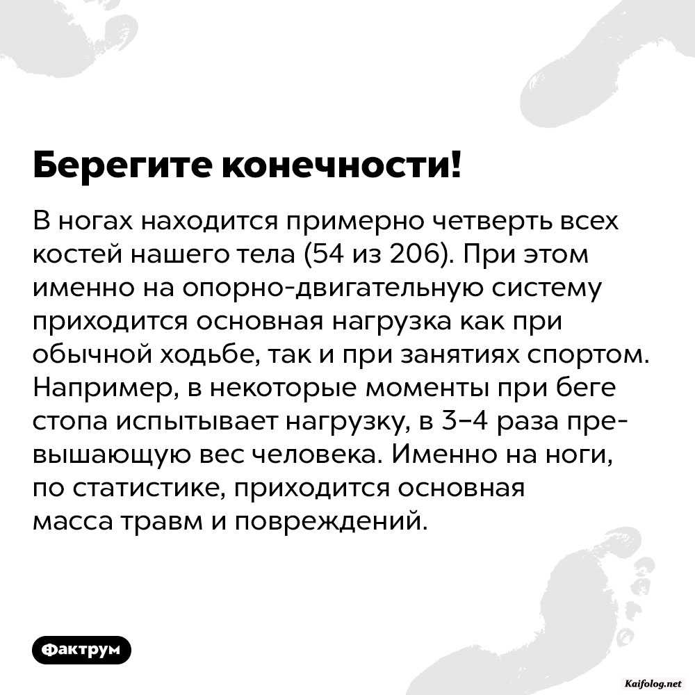 Интересные факты обо всем (очередная подборка) » Приколы, юмор, фото и  видео приколы, красивые девушки на кайфолог.нет