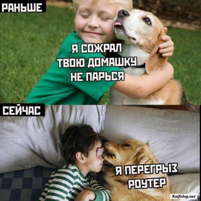 прикол на картинке с текстом