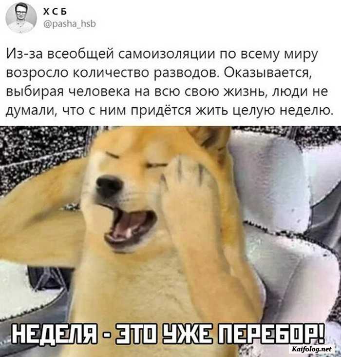 прикол на картинке с текстом