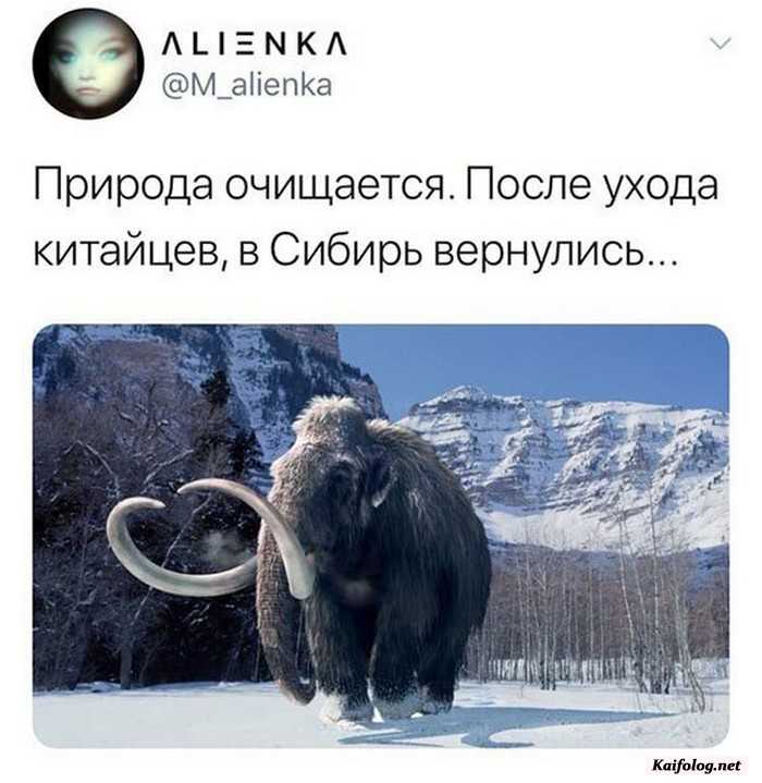 прикол на картинке с текстом