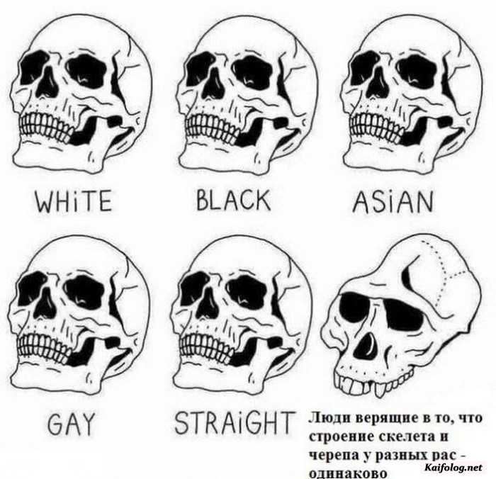 прикол на картинке с текстом