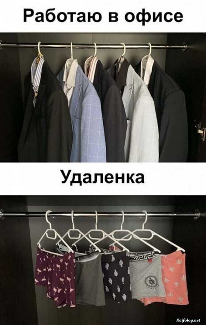 смешное фото