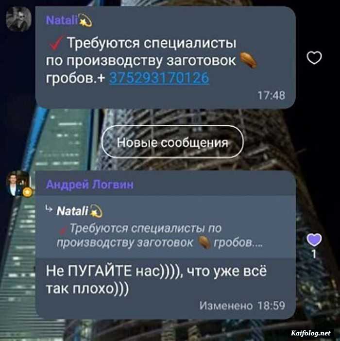 смешное фото