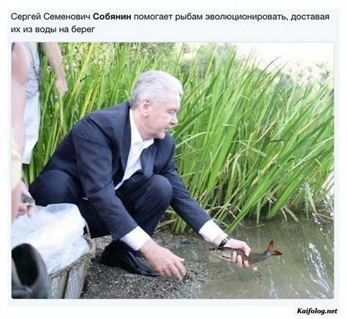 смешное фото