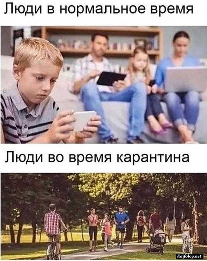 смешная картинка