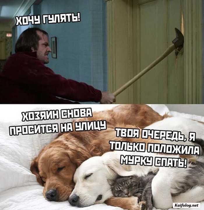 смешная картинка